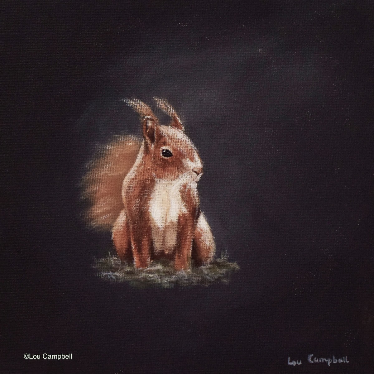 Ruby Red Squirrel
